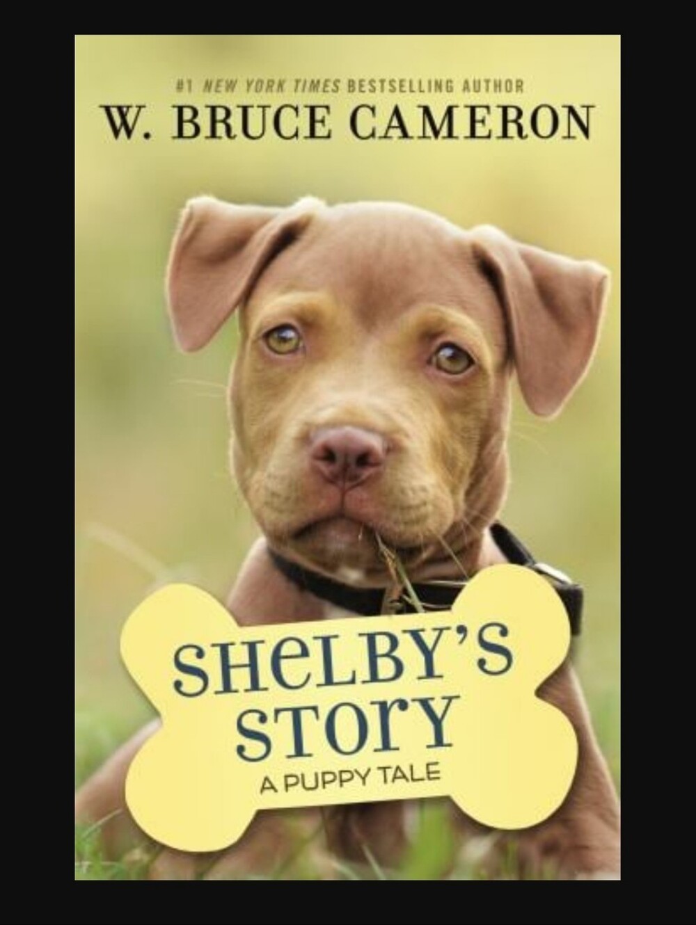 Shelby's Story : A Puppy Taleby W. Bruce Cameron Scholastic (Paperback)